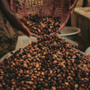 V4H97A6C59813DCFD5AAEC605D40B241AD2R4413001P3