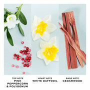 V2HC01E0E28DA16BBAB6ABCE9FF2960174AR7137004P3