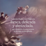 V2H49CFC5C5108CB9CEBB5692DCB852338FR7111386P5