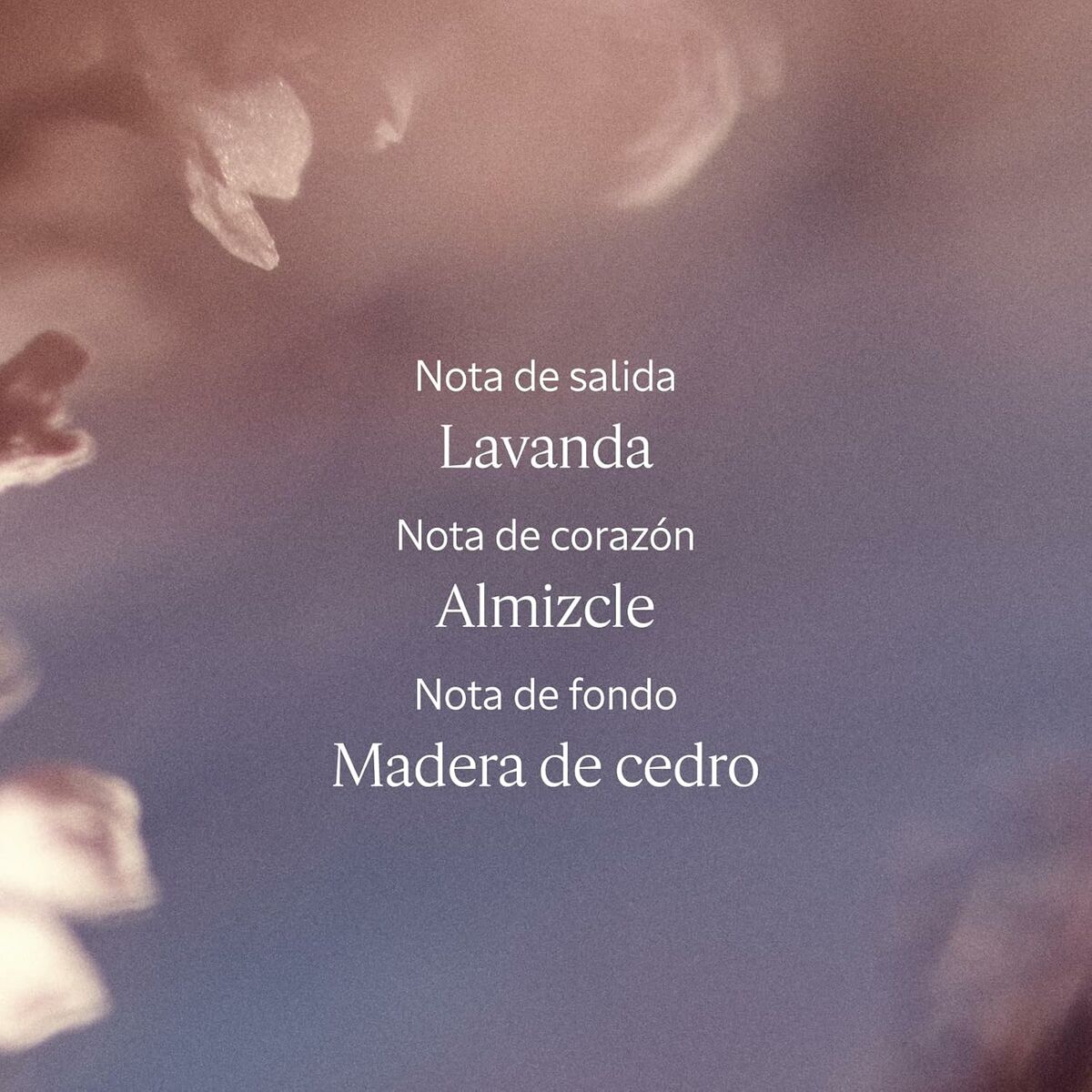 V2HA5433334ECFBD13ADF99A4B40B30BFC2R7111388P6