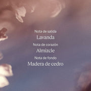 V2HA5433334ECFBD13ADF99A4B40B30BFC2R7111388P6