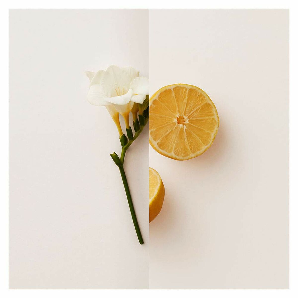 V4HC710AAA0E4DB465FD121BB8131E29AD9R4445253P3