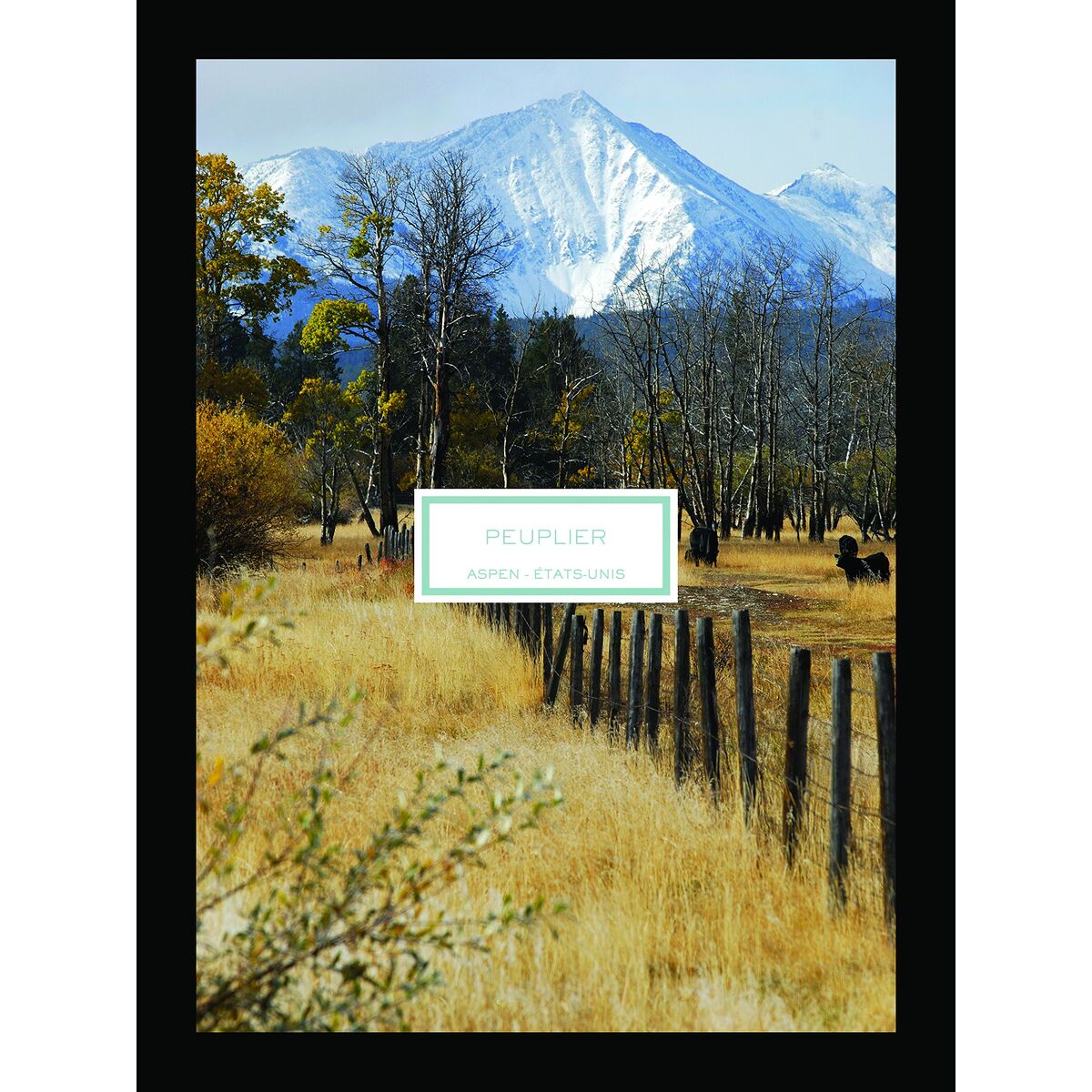 V2HAA91AE32F236F88B155E3F0BD5A60DFFR7423544P2