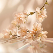 V2H9755B0E1C5CBD22B7BC507B86035E260R7415525P2