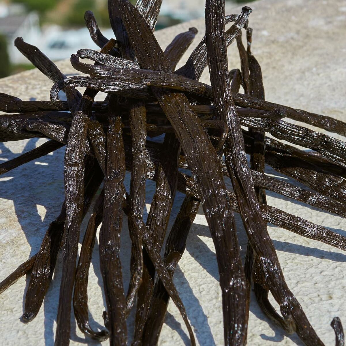 V3H2FEDF660222908E5A8BF9DB022E97591R7525437P5