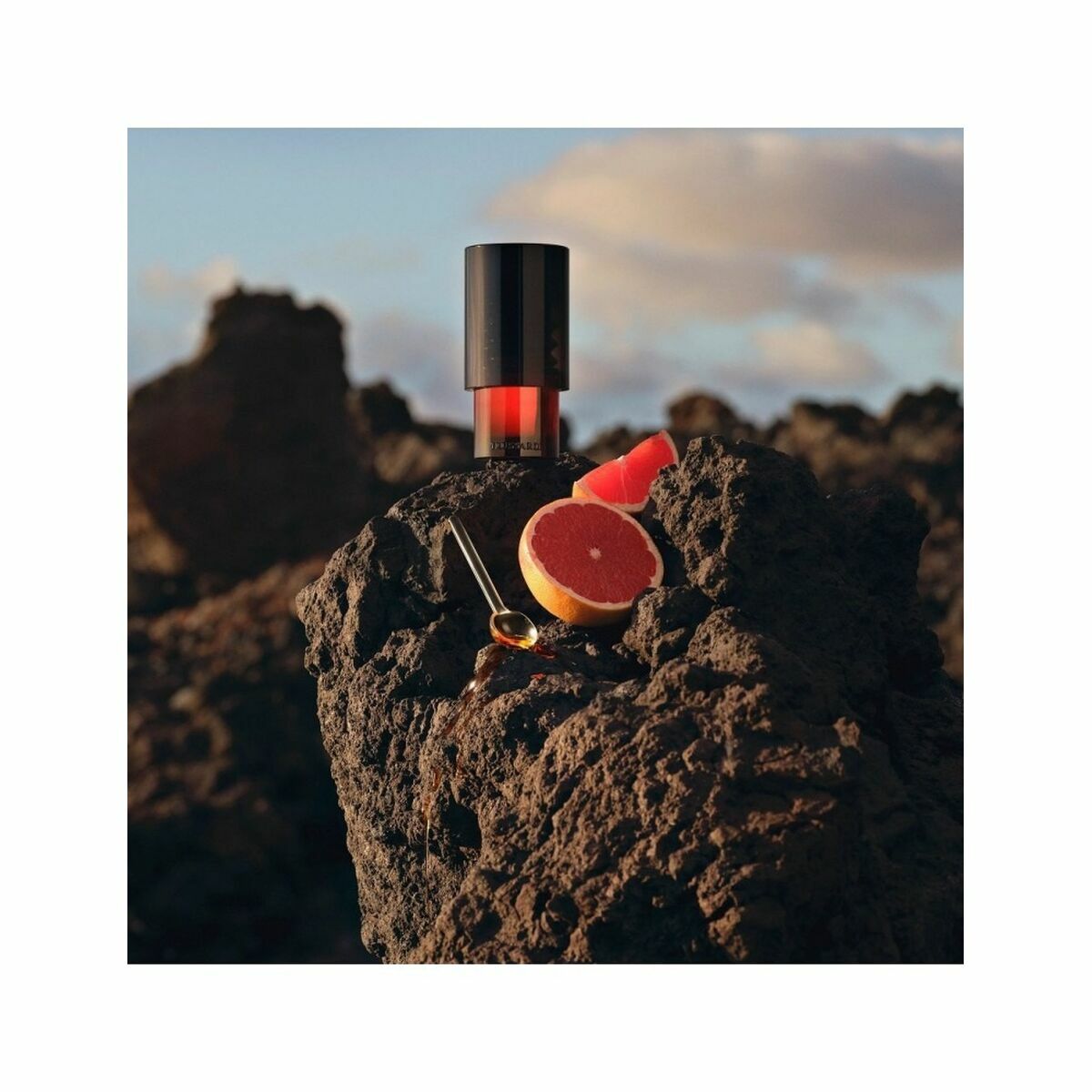 V5HFD2FBFDAE9C0B670DC649856AE377A4FR5102215P2