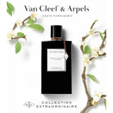 Bois D'Amande EDP 75ml - Van Cleef & Arpels