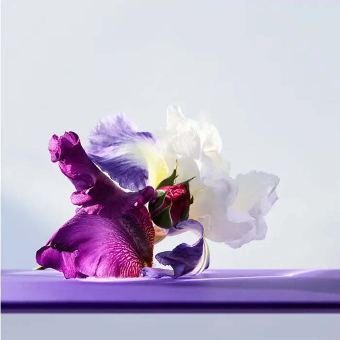 Onmia Amethyste EDT 100ml