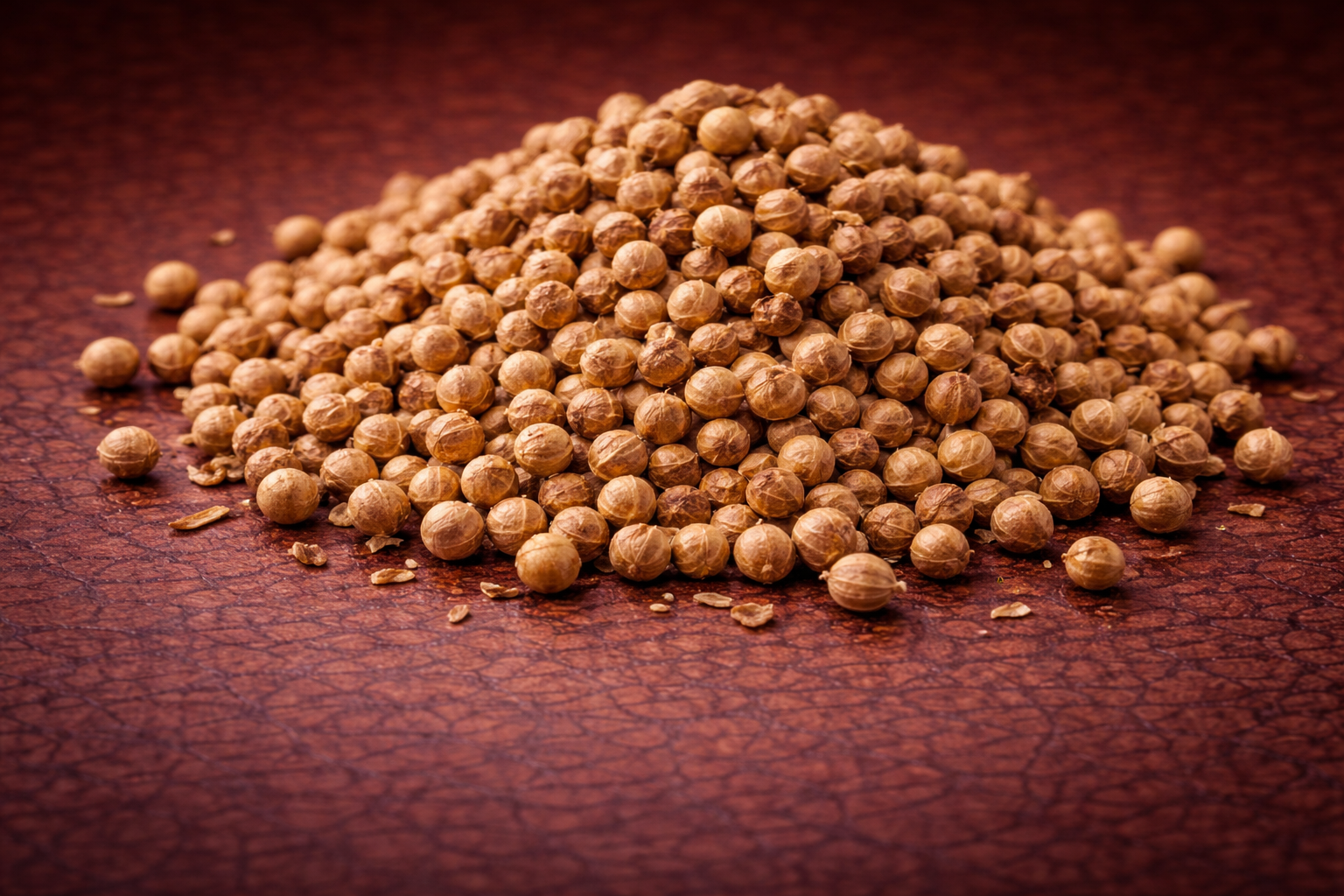 Coriander