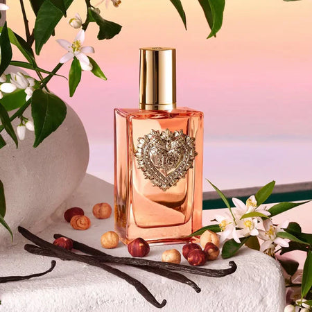 DOLCE & GABBANA